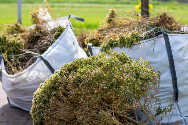 Best Trash Removal Near Me  in Galesville, WI